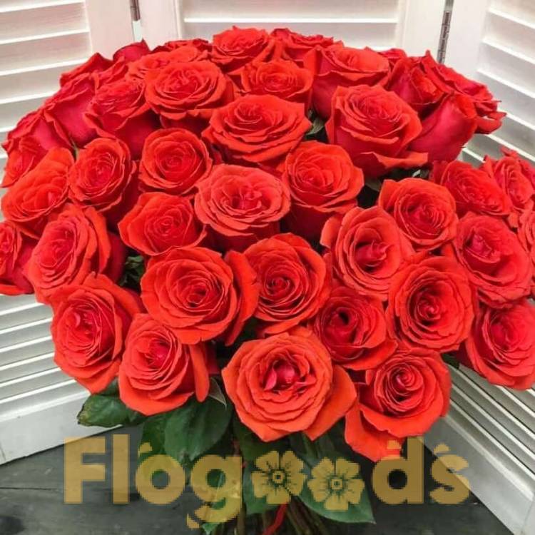51 красная роза за 19 519 руб.